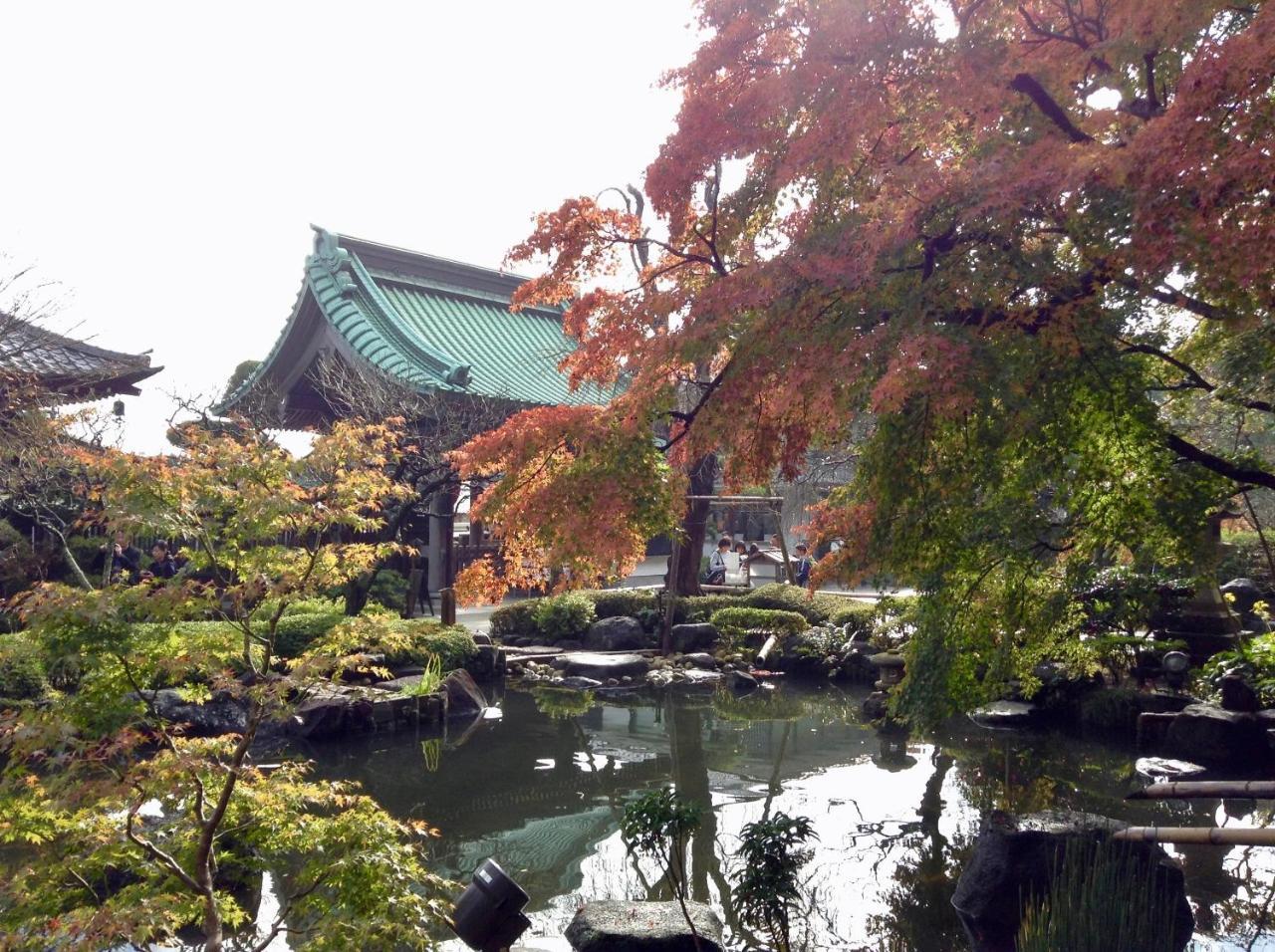女性専用 Inn By The Sea Kamakura - Women'S Guesthouse Luaran gambar